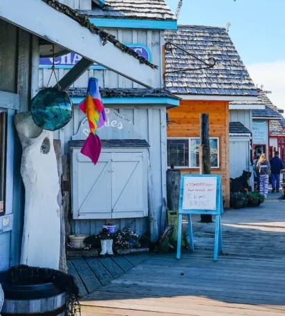 Best Things To Do In Homer - 49 North Adventures is #1