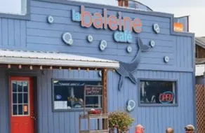 La Baleine Cafe 1AA59F79 5056 A36A 0B130F8C0BFA06E8 1aa58d505056a36 1aa5a697 5056 A36a 0bf6c0460fa93b54